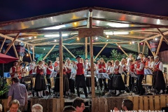 2022-07-16-scheunenfest-bavendorf-000