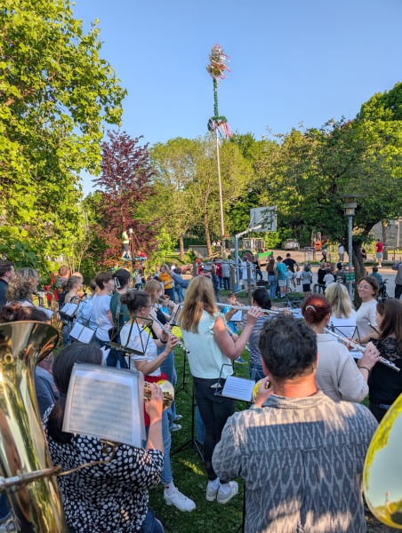 2025-04-31-maibaumstellen001