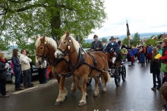 img_1368469430_519