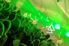 2022-schlossfest-samstag-075
