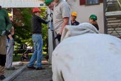 2022-schlossfest-aufbau-025